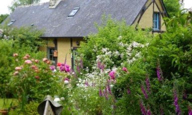 Gîte La Bergerie - Rugosa