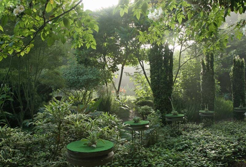 Jardin Intérieur à ciel ouvert – Athis de l&rsquo;Orne
