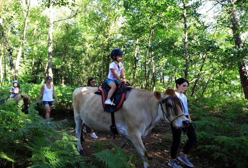 4 Pat&rsquo;Balad – St Philbert sur Orne