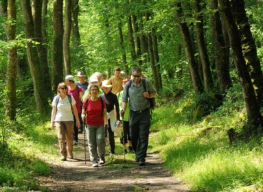 Groupe de randonneurs dans les gorges de la Rouvre