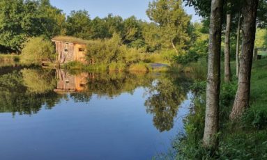 Ma Cabane en bois sur l'Etang